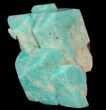 Amazonite Crystal Cluster - Park County, Colorado #52370-3